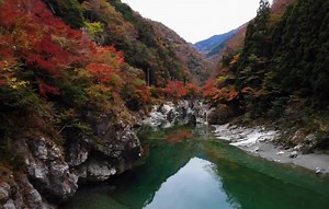 🍂 Looking for somewhere local to see the autumn leaves this year? Our guide to lesser-known places to view autumn leaves so you can dodge the crowd. 🍁 https://guidable.co/seasons/autumn/what-is-kouyo-a-guide-to-seeing-autumn-leaves-in-japan/?utm_source=facebook&utm_medium=feed&utm_campaign=video With cooler weather brings a magical autumn display of colour! | Guidable