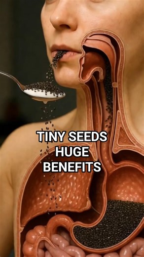 What Chia Seeds Really Do to Your Gut and Heart (3D anatomy explained) #guthealth