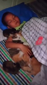 3M views · 10K reactions | Xung quanh anh toàn là ghệ đẹp  | Đảo Mèo | Facebook