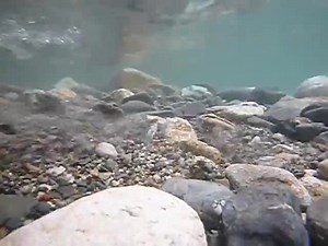 Vídeo ilustrativo del transporte de sedimentos por arrastre de fondo en un río antes de su transvase. Teniendo en cuenta que no es una creciente sino el transporte natural de sedimentos, es importante resaltar que por la poca profundidad existe mayor velocidad sobre el fondo, por ende mayor rozamiento. | Librería Ingeniero