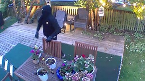 This man lost his balance and fell straight off the ladder, landing hard on the ground — but surprisingly, he still managed to get back on his feet. | Jukin Copyright Management