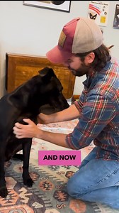 Improve your dog's health TODAY with the #1 vet-approved Multivitamin on Amazon! This delicious chew contains natural yet powerful ingredients such as probiotics, glucosamine, biotin, omegas and vitamin C to elevate your dog's vitality. 20% off with subscription to email! | Pet Honesty