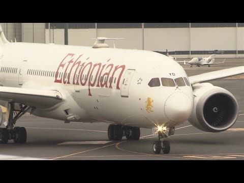 「ほっとしました」抱き合い無事を喜ぶ姿　中東退避の日本人ら乗せた政府チャーター機が成田到着　追加便2機も運航へ