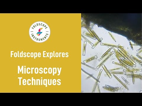 Foldscope Explores: Microscopy Techniques 🔬