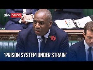 Wrongly released prisoner let out before tougher checks came into force, says Lammy