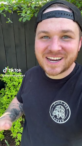 We painted our fence black a year ago and haven’t stopped loving it. Heres all you need to know! #blackfence #garden #zone9 #gardening #landscapedesign