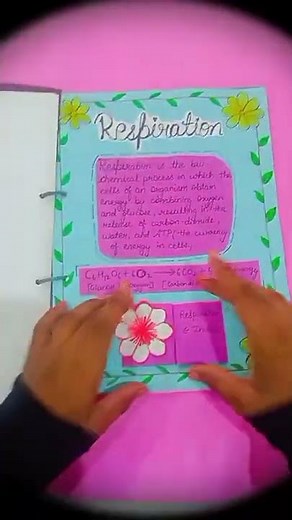 Science (Biology) Project File on Respiration in Human beings|Class 10| project file making #shorts