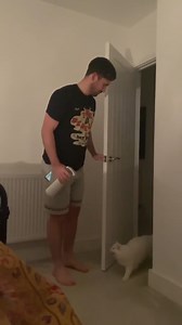 2.3M views · 99K reactions | Reintroducing Donut for our new followers  He is a little deaf white lion (a LOT louder than the average cat), hates being in the hallway by himself for ten seconds, and is completely fine in this video… he’s just incredibly clingy! 藍#catsoffacebook #cats #deafcat #loud #scream #funnyvideo #viral #viralcat #catlover #fyp #catlife #siberiancat | A Cat Called Donut | Facebook