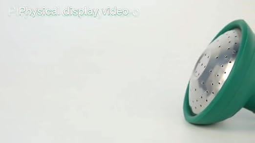 Watering Can Rose Head