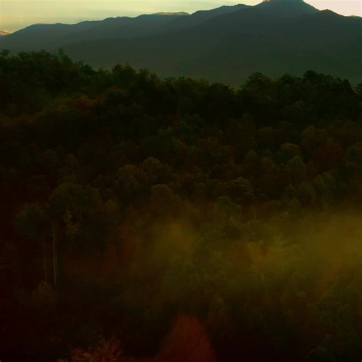 LAST CHANCE! Fall Hunting Classic deals end soon. Save big on the gear you need this season. | Cabela's | Facebook