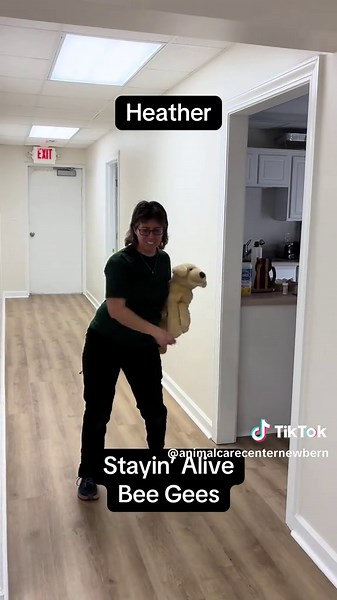 Celebrating Vet Tech Week with Favorite Clinic Songs