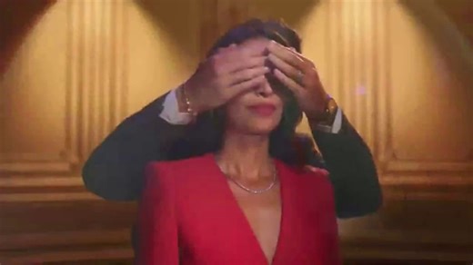 Zales TV Spot, 'Holidays: Give the Gift of Shine: Book an Appointment'