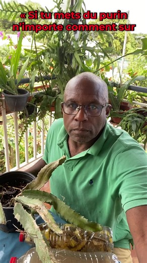 « Infusion, macération ou purin… chacun peut nourrir ou stresser ton pitaya ! 🌵 Dans ce live, je t’ai montré dosage exact, durée, dilution et mode d’application pour chaque procédé. Comment stimuler feuilles, racines ou floraison, et surtout éviter de brûler tes plantes. Ici, pas de copier-coller Internet, que du concret et pratique. Abonne-toi pour maîtriser tes plantes et booster tes récoltes ! » ✔️ Purin de banane ✔️ Dosage selon fermentation ✔️ Erreurs à éviter ✔️ Application sol / racines 
