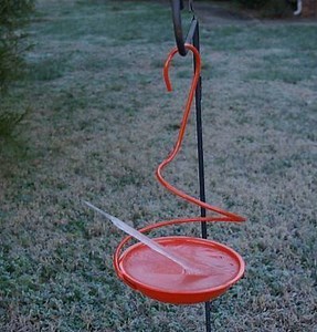 Ice spike - Alchetron, The Free Social Encyclopedia