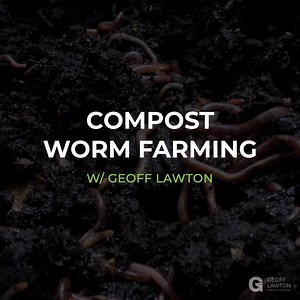 5K views · 239 reactions | Compost worms are a great way to make your...