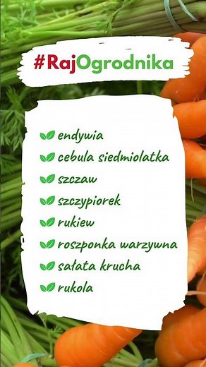 Jakie warzywa i kwiaty siać w lipcu? Rośliny które teraz musisz wysiać 🌱🌸 [Poradnik] #rajogrodnika