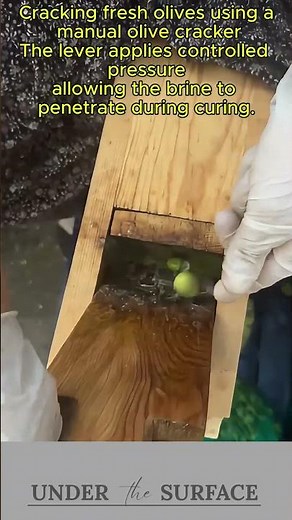 Manual Olive Cracker for Preparing Olives for Brining