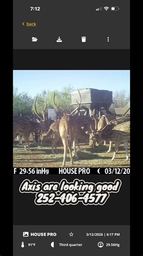 #tloweoutfitters #ranchlife #southtexas #doubledowndeerfeed #deerhunting