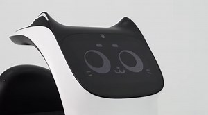 Watch: Need a waiter? There's a cat-bot for that!