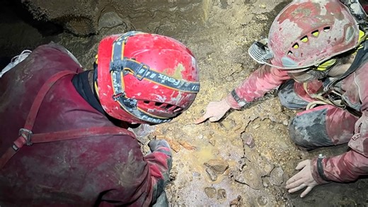 3.5K views · 251 reactions | A total of 40 giant panda remains have been unearthed since 2003 in Shuanghe Cave, Asia's longest cave in southwest China's Guizhou Province, according to latest research results. #panda | China Xinhua News | Facebook