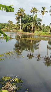3.5K views · 47 reactions | Fishing from stream | DEEPU BABU VLOGS | Facebook