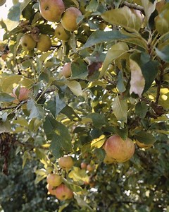 3.2K views · 82 reactions | Consider this your heads up: our new autumn collection will be starting to arrive tomorrow, and we couldn’t be more excited to share it with you. Make sure you’re following us to find out when it’s online. | Neptune | Facebook