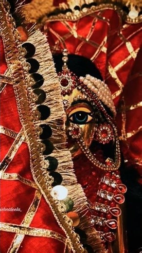 varndavan#radhakrishna #radhavallabh #radharaman #shorts