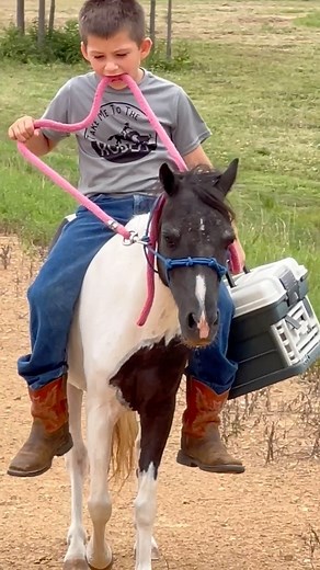 415K views · 10K reactions | Goin’ fishin’ with his ponies. ❤️. #fishing #pony #countryboy #cowboy | Patton Ranch | Facebook