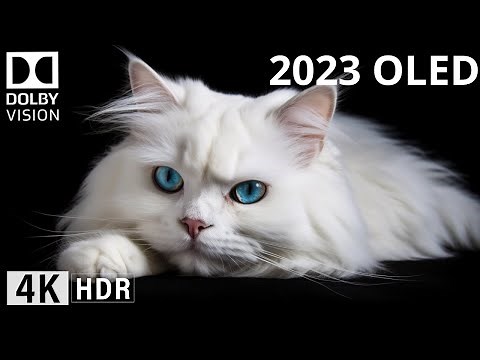 INSANE Close-Up Details | OLED DEMO 2023, 4K UHD 60 FPS, Dolby Vision.