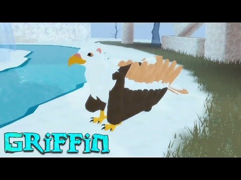 Feather Family Griffin Remodel