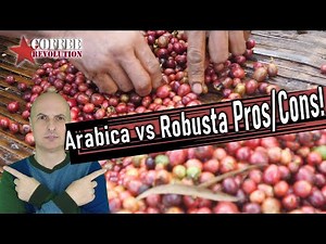 Arabica vs. Robusta:🫘 What Are The Essential Difference & Why It Matters So Much?