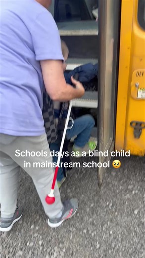 Experiences of a Blind Child in Mainstream School
