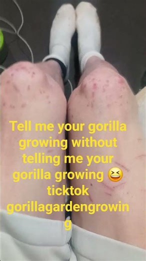 well worth it follow the journey on tick tok aswell gorillagardengrowing