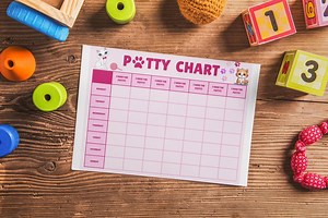 Toddler Potty Training Chart, Bright, Engaging Kitty Design, Printable Bathroom Training & Reward Chart, Perfect Training Aid, Reward Chart. - Etsy Canada