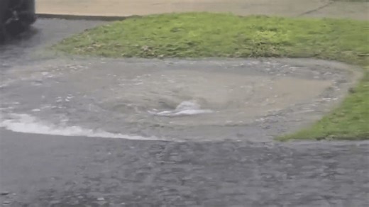 Watch mini whirlpool form around storm drain in DeLand, Florida