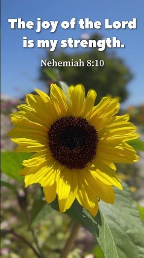 The joy of the Lord is my strength.-Nehemiah 8:10
