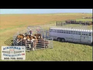 WW Express Portable Cattle Corral