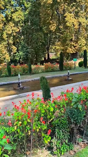 870K views · 91K reactions | Mesmerizing view #nishatgarden | Beauty explore | Facebook