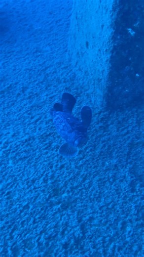 Neofytos Vlasiou on Reels