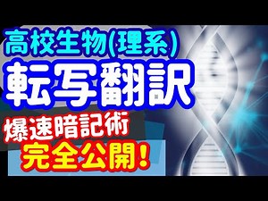 【高校生物 17】遺伝子【転写翻訳】を宇宙一わかりやすく