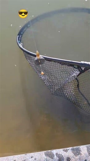 Method feeder/Carp fishing