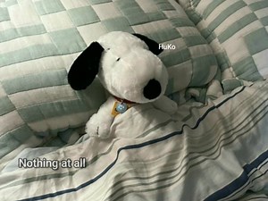 222K views · 6K reactions | my everyday mood : https://t.me/songsforthatoneperson | 헦헼헻헴혀 헳헼헿 혁헵헮혁 헼헻헲 헽헲헿혀헼헻 | Facebook