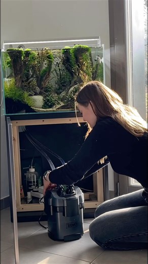 Canister Filter Setup #aquascaping #aquascape #aquarium #plantedtank #plantedaquarium #fishtank