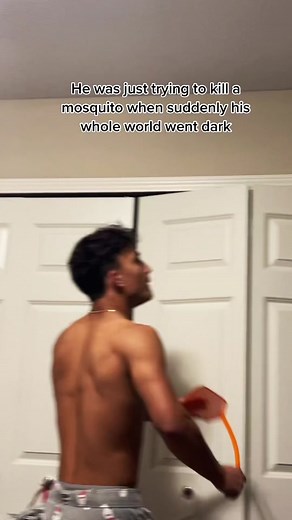 You can’t script this stuff | mosquito