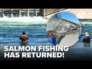 Chinook salmon fishing returns to Sacramento River system after three-year closure