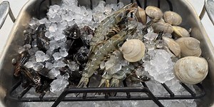 I Cook For A Living & I'm Begging You To Properly Clean Your Shellfish