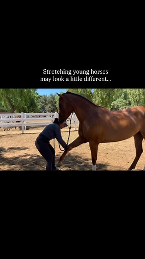 Candid from one of our certification courses! This 3 yo mare LOVED...