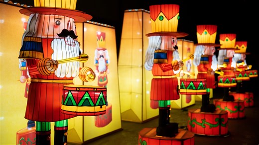 Jacksonville Zoo’s Colors of the Wild lights up holiday season