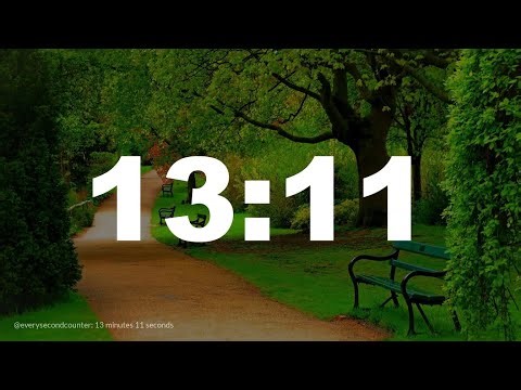 13 minutes 11 seconds [791 secs] clock timer countdown || Alarm Focus || Chill Music
