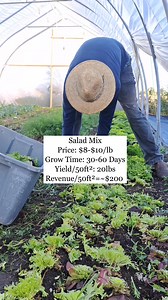 These crops are what makes my farm profitable! And they work great even on a tiny backyard farm if you can sell them at a small farmers market or even just your neighbors. The key to turning your hobby into an income stream is focus. Choosing the right crops to grow is a great place to start. Comment PROFIT for my full list of high profit crops we grow on my farm! #gardening #farming #income #homestead #backyard | Farmtablewest